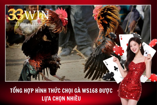 4 loại hình chọi gà được yêu thích tại sảnh WS168